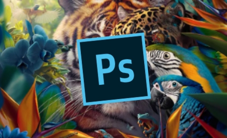 에프터이펙트 기초